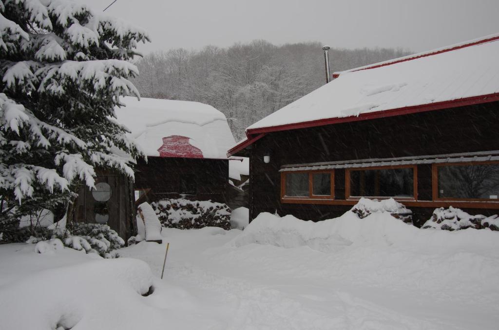 Goryo Guesthouse NakaNakafurano Eksteriør bilde